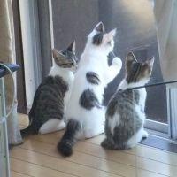 会員画像