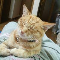 会員画像