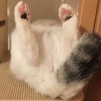 田中さんさん