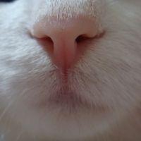 turbo0919 会員画像