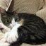 ユーザ画像