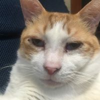 そう8638 会員画像