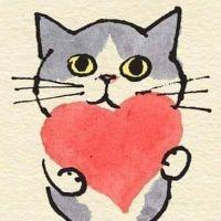 高知にゃんわんの家 会員画像
