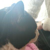 yuki0103 会員画像