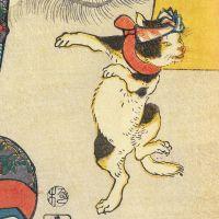 ふーま 会員画像