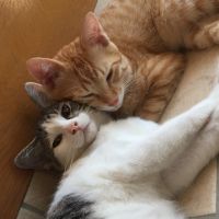 まちこママ 会員画像