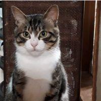 ツヨママ 会員画像