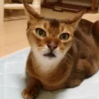 みー介 会員画像
