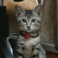 まー太郎 会員画像