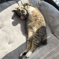 sakananisasami 会員画像