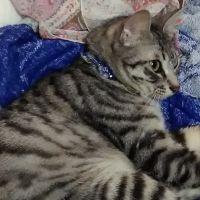 ふうじろう 会員画像