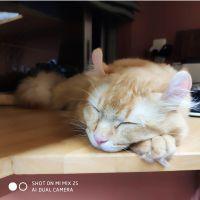 Yusk123 会員画像