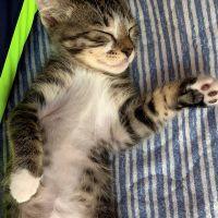 うみかぜ 会員画像