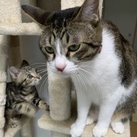 なつちた 会員画像