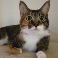 会員画像