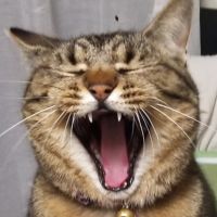 幸福丸 会員画像