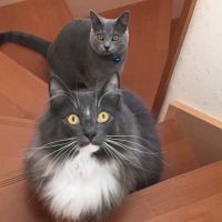 会員画像