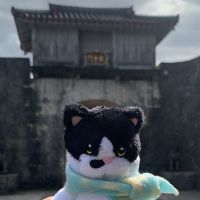 みえふぁお 会員画像