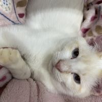 なぎー 会員画像