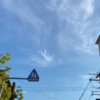 コヤちゃん 会員画像