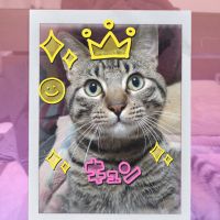 ちぃ ルカ 会員画像