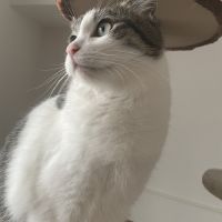 Ray_0116 会員画像