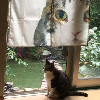 miachan 会員画像