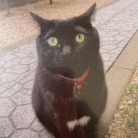 ひぃぞう 会員画像