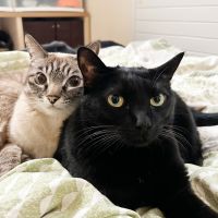 みなこっこ 会員画像