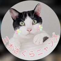 三木さくらニャンズさん