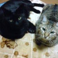 ぱるむ 会員画像