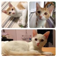 みん2 会員画像