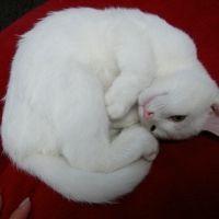会員画像
