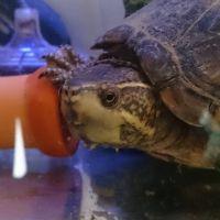 べーや 会員画像