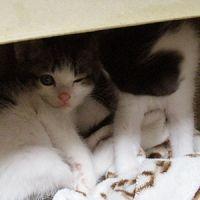会員画像