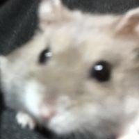 やまちゃん2164 会員画像
