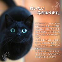 会員画像