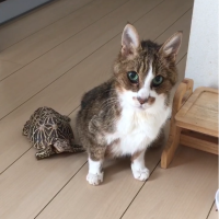 あわび 会員画像