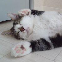 tamuuuuu 会員画像
