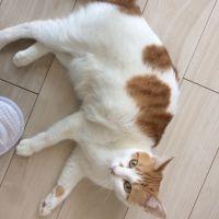 さえか 会員画像