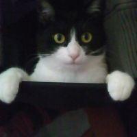 ジジちゃんマン 会員画像