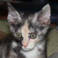 イイモリ 会員画像