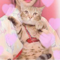 ちーーーーず 会員画像