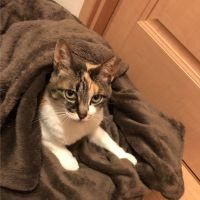 あきぼー 会員画像