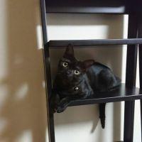 ゆき0415 会員画像