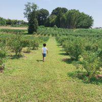 ベルトラ 会員画像