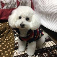 ちゅらび 会員画像