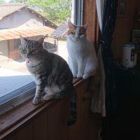 ここ724 会員画像