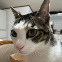 会員画像