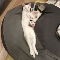 会員画像